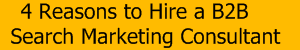 4 Reasons to Hire a B2B Search Marketing Consultant